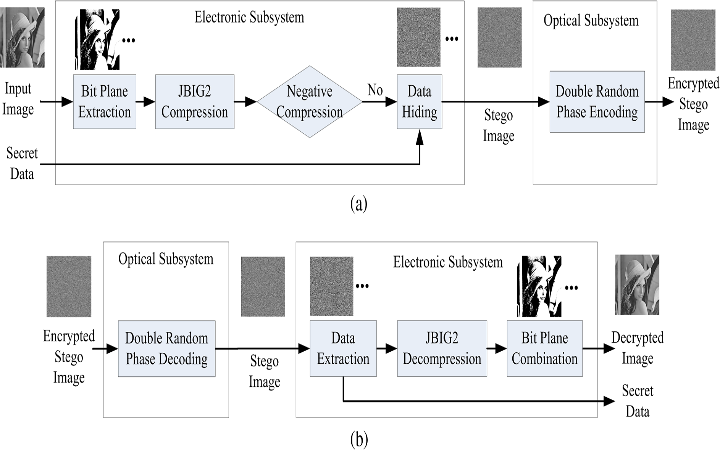 Expert support for Steganography Projects