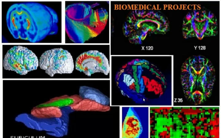 Biomedical-Projects